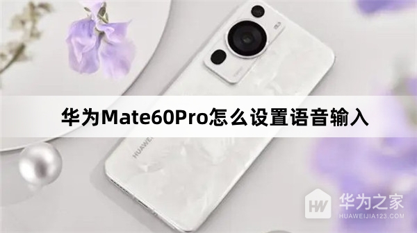 华为Mate60Pro如何设置语音输入