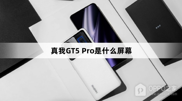 真我GT5 Pro是什么屏幕