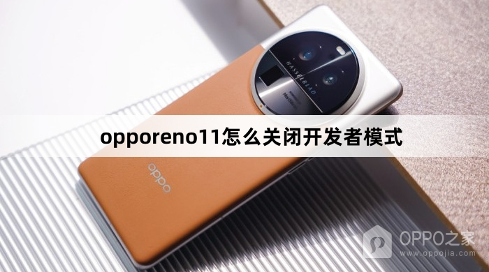 opporeno11关闭开发者模式教程