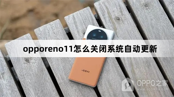 opporeno11关闭系统自动更新教程