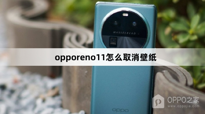 opporeno11如何取消壁纸