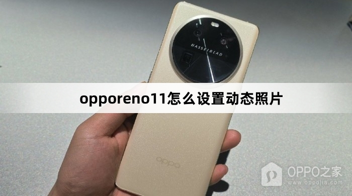 opporeno11如何设置动态照片