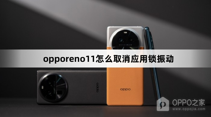 opporeno11如何取消应用锁振动