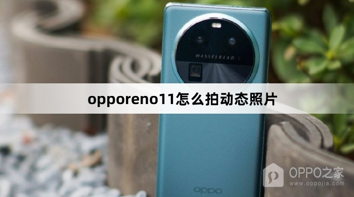 opporeno11如何拍动态照片