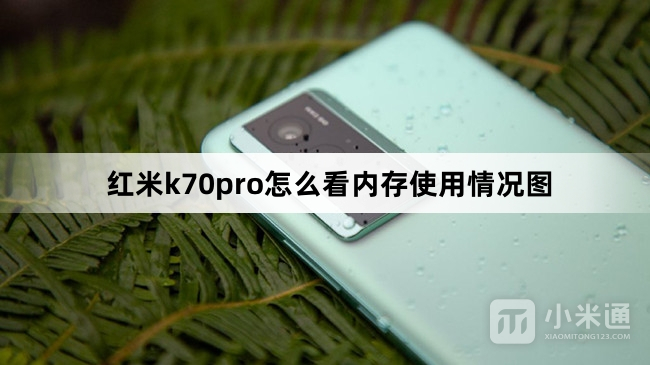 红米k70pro如何看内存使用情况图