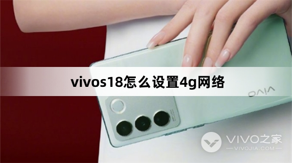 vivos18如何设置4g网络