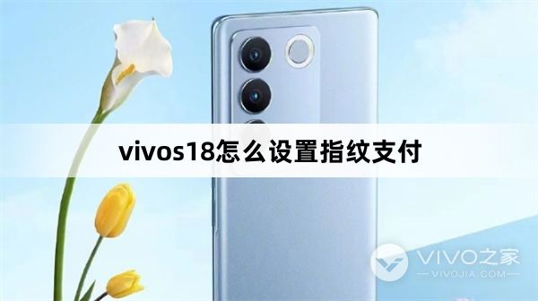 vivos18如何设置指纹支付