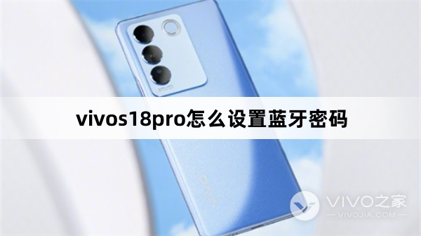 vivos18pro如何设置蓝牙密码