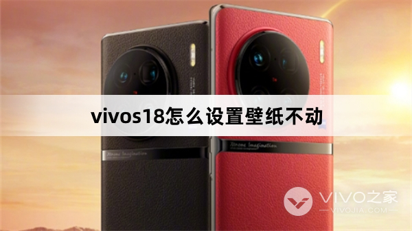 vivos18如何设置壁纸不动