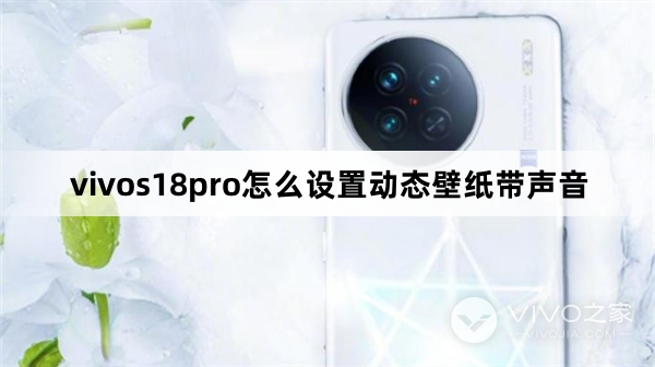 vivos18pro如何设置动态壁纸带声音