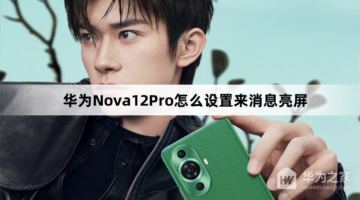 华为Nova12Pro设置来消息亮屏教程