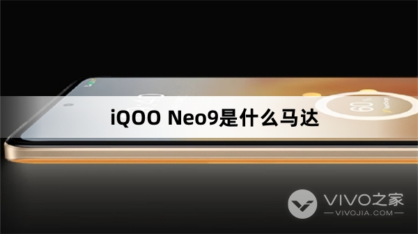 iQOO Neo9马达介绍