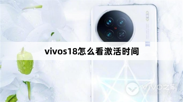 vivos18如何看激活时间