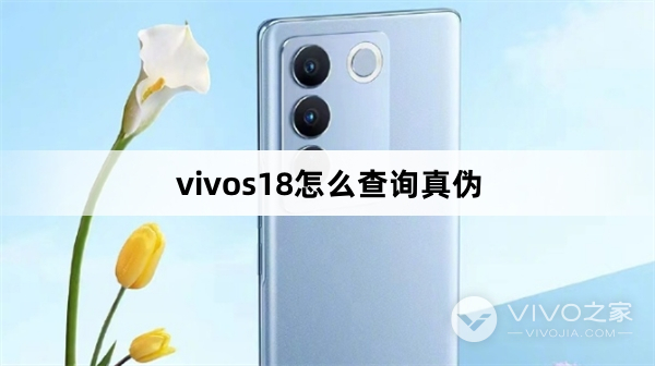 vivos18如何查询真伪